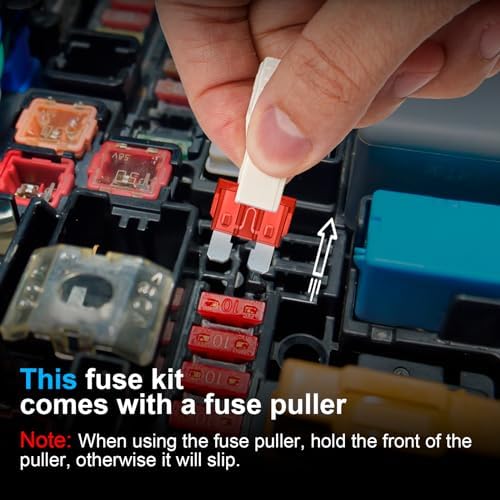 300Pcs Car Fuse Assortment Kit