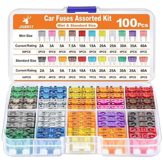 100Pcs Car Fuse Assortment Kit